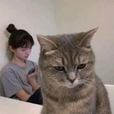 憨憨就是我1